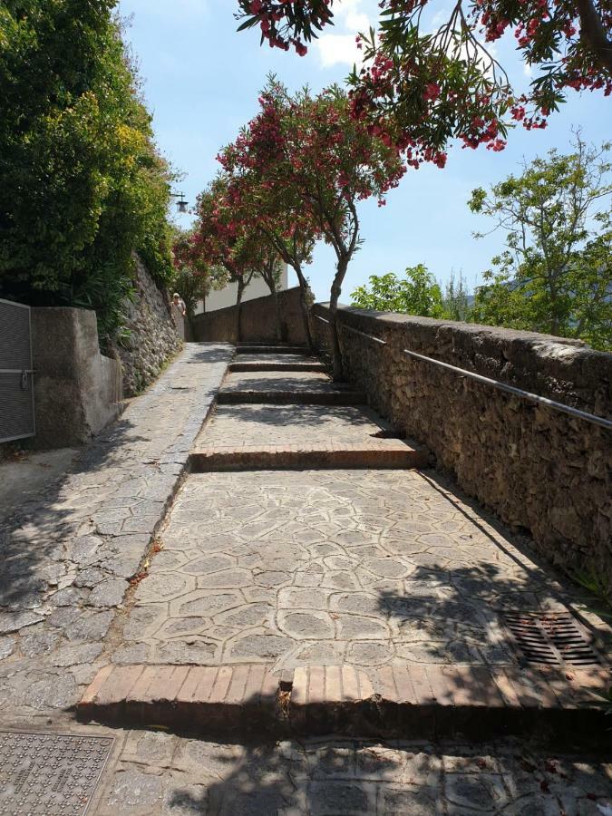 Casa Ponticeto Daire Ravello Dış mekan fotoğraf