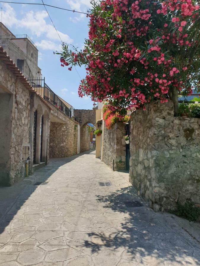 Casa Ponticeto Daire Ravello Dış mekan fotoğraf
